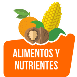 Alimentos y nutrientes